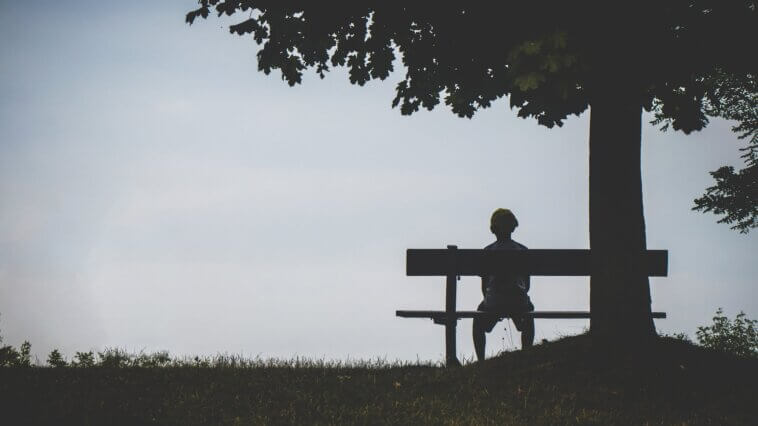 person sitting on bench under tree